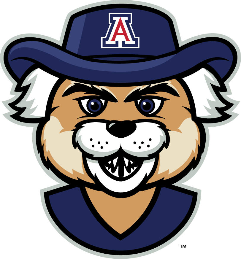 Arizona Wildcats 2013-Pres Mascot Logo v5 diy iron on heat transfer